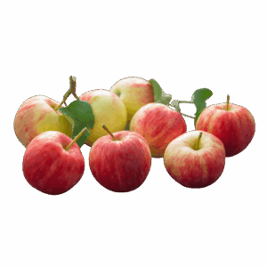 Organic Apples