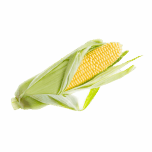 Organic Corn