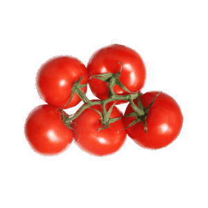 Organic Tomatoes